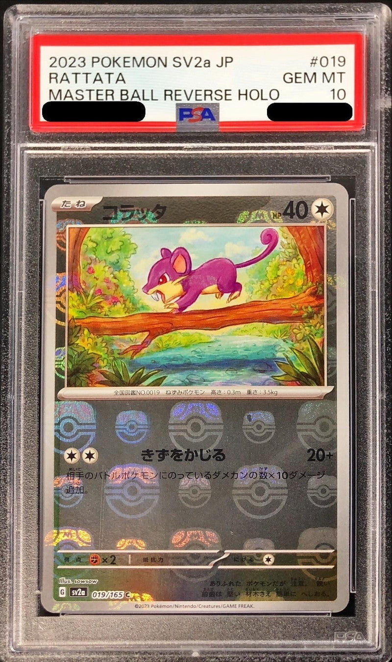 PSA10鑑定済〕コラッタ(マスターボールミラー)【C】{019/165}[PSA