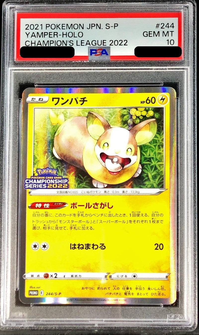 〔PSA10鑑定済〕ワンパチ【P】{244/S-P}[PSA](Yamper)