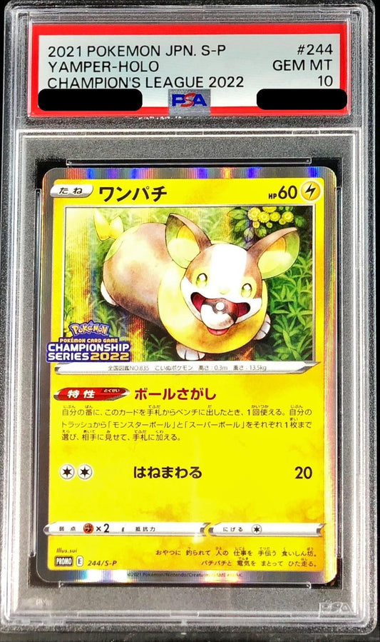 〔PSA10鑑定済〕ワンパチ【P】{244/S-P}[PSA](Yamper)