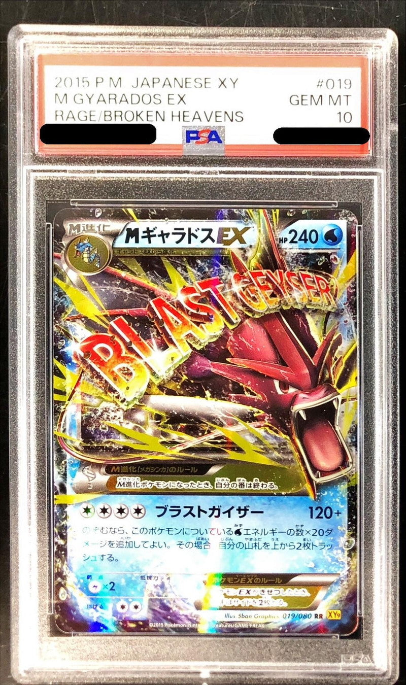〔PSA10鑑定済〕MギャラドスEX【RR】{019/080}[PSA](Gyarados)
