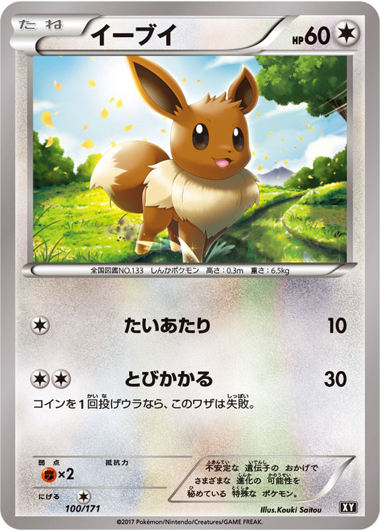 イーブイ【-】{100/171}[XY](Eevee)