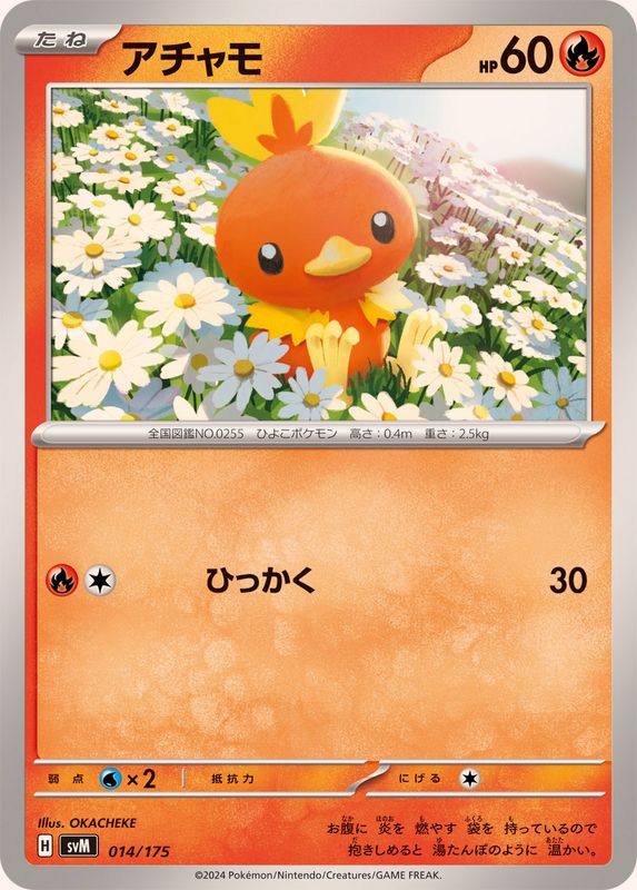 アチャモ【-】{014/175}[SVM](Torchic)