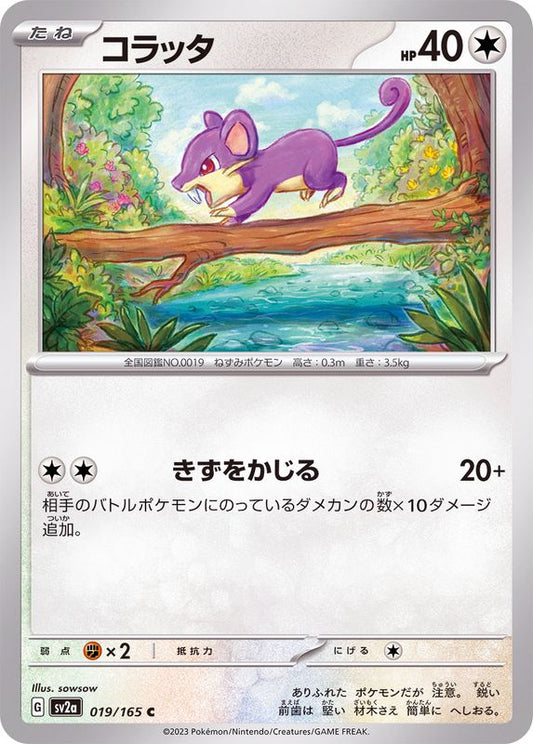 コラッタ【C】{019/165}[SV2a](Rattata)