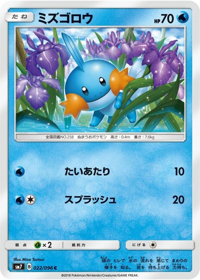 ミズゴロウ【C】{022/096}[sm7](Mudkip)