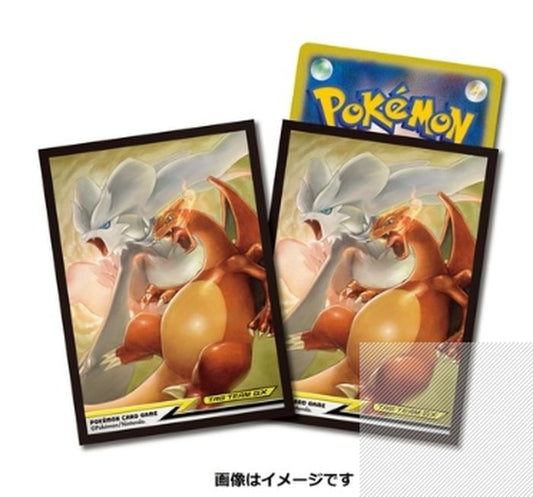 デッキシールド『レシラム＆リザードンTAGTEAMGX』64枚入り【サプライ】{-}[supply]