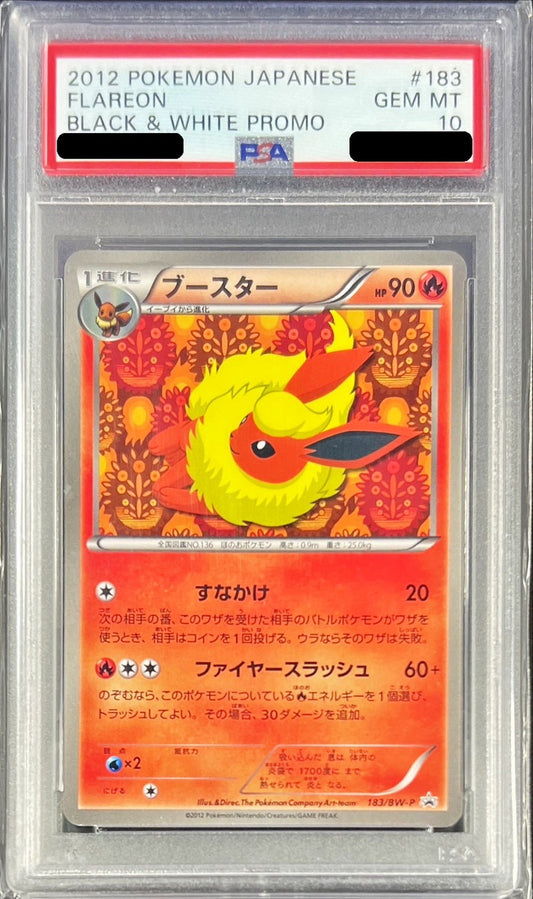 〔PSA10鑑定済〕ブースター【P】{183/BW-P}[PSA](Flareon)