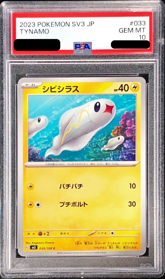 〔PSA10鑑定済〕シビシラス【C】{033/108}[PSA](Tynamo)