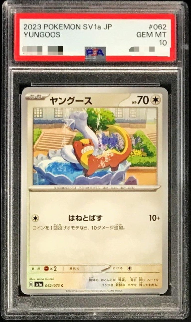 〔PSA10鑑定済〕ヤングース【C】{062/073}[PSA](Yungoos)