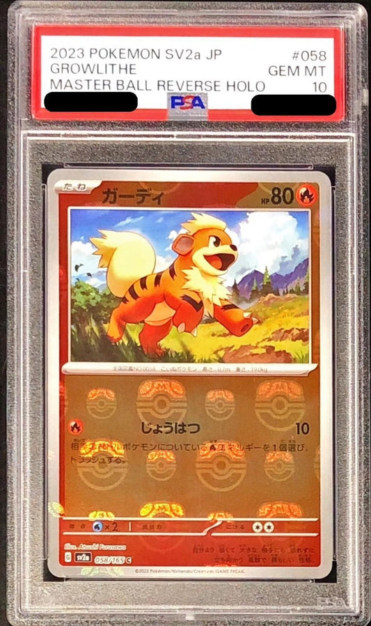 〔PSA10鑑定済〕ガーディ(マスターボールミラー)【C】{058/165}[PSA](Growlithe)