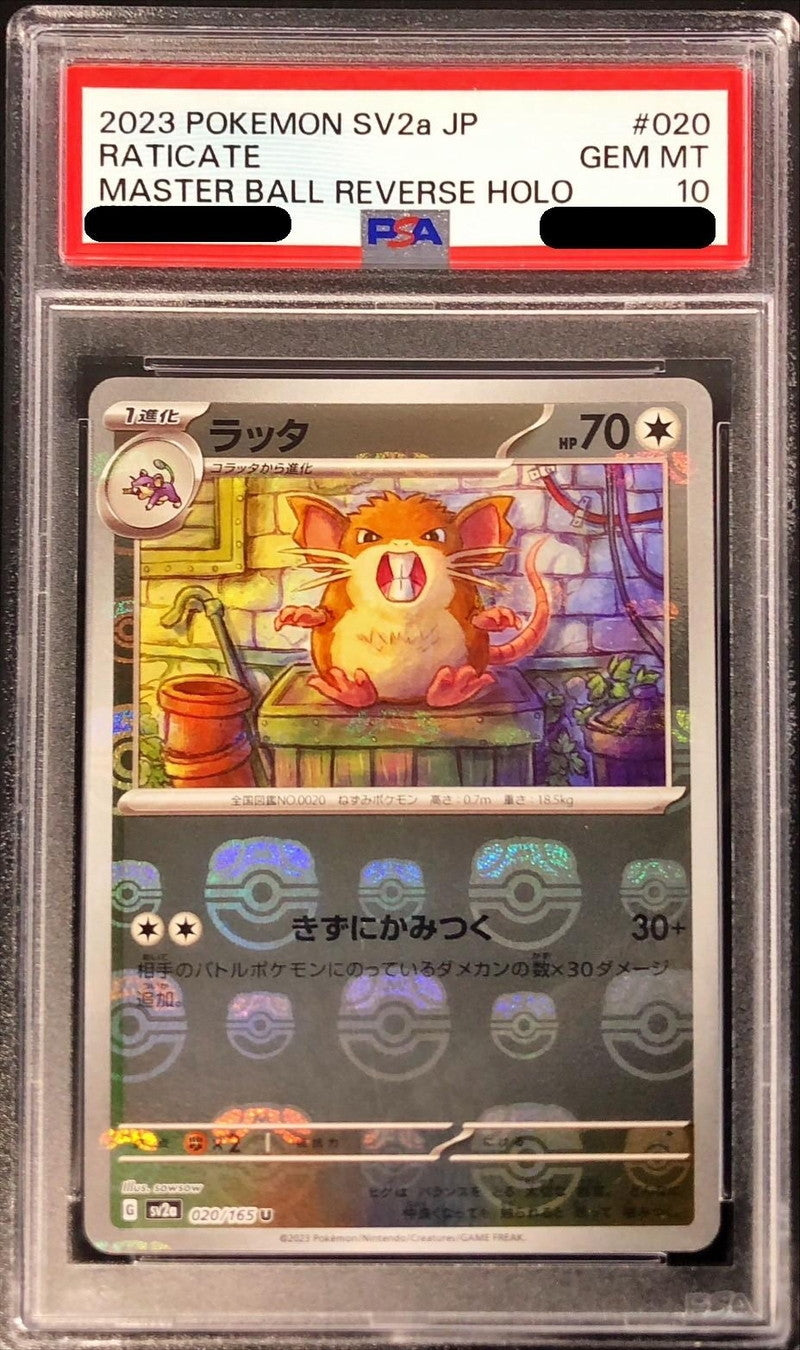 〔PSA10鑑定済〕ラッタ(マスターボールミラー)【U】{020/165}[PSA](Raticate)