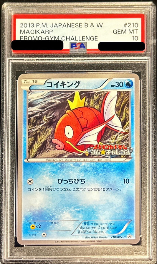 〔PSA10鑑定済〕コイキング【P】{210/BW-P}[PSA](Magikarp)