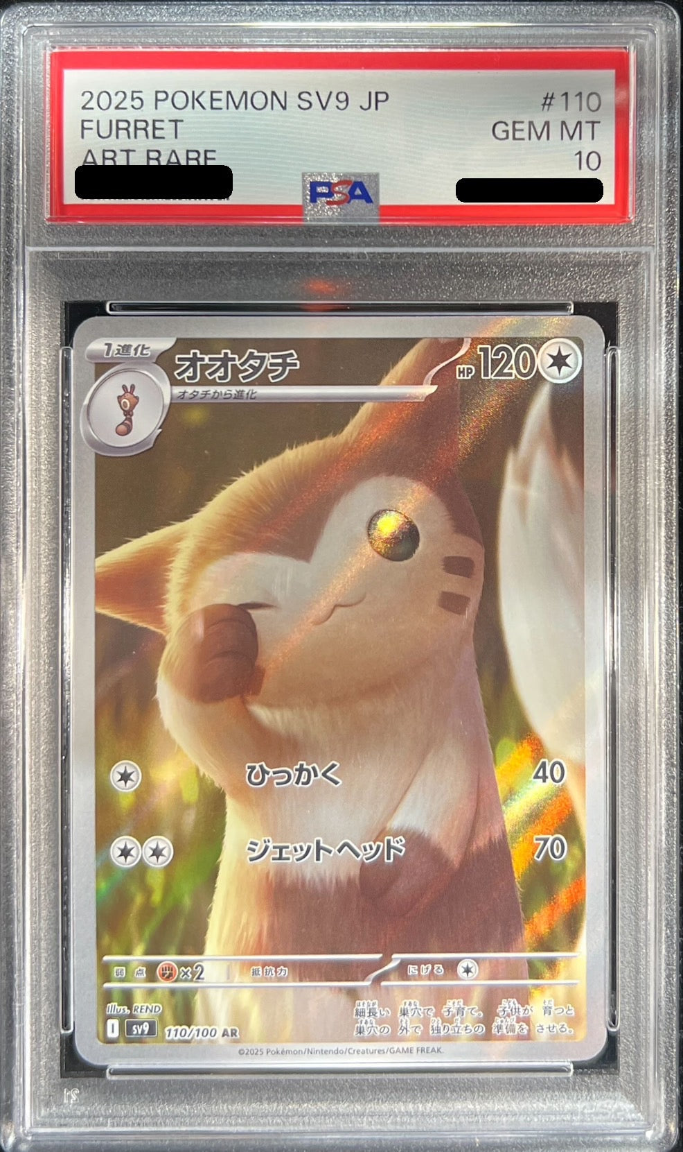 〔PSA10鑑定済〕オオタチ【AR】{110/100}[PSA](Sentret)