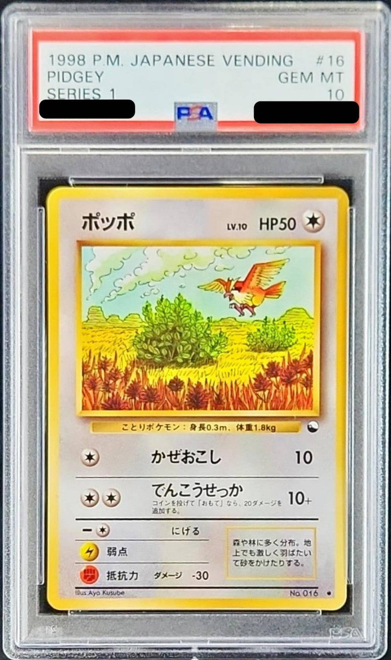 〔PSA10鑑定済〕ポッポLV.10【-】{旧裏}[PSA](Pidgey)