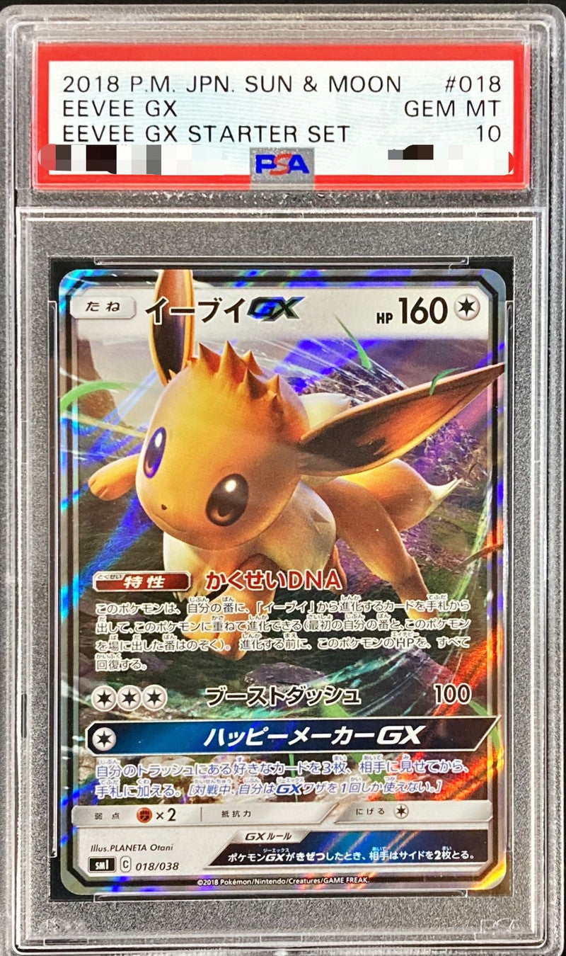 〔PSA10鑑定済〕イーブイGX(RR仕様)【-】{018/038}[PSA](Eevee)