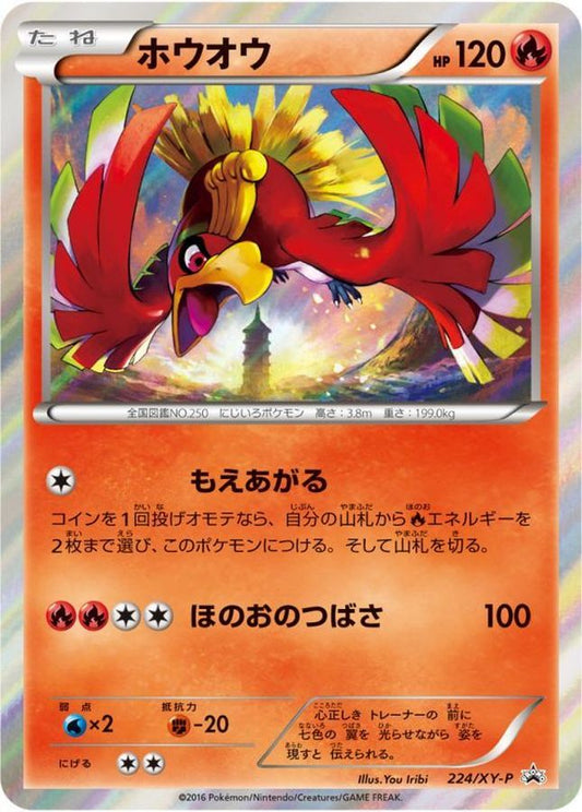 ホウオウ【P】{224/XY-P}[XY](Ho-Oh)
