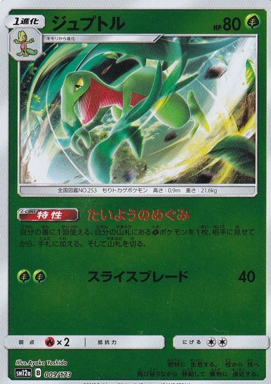 ジュプトル(ミラー)【-】{009/173}[sm12a](Grovyle)