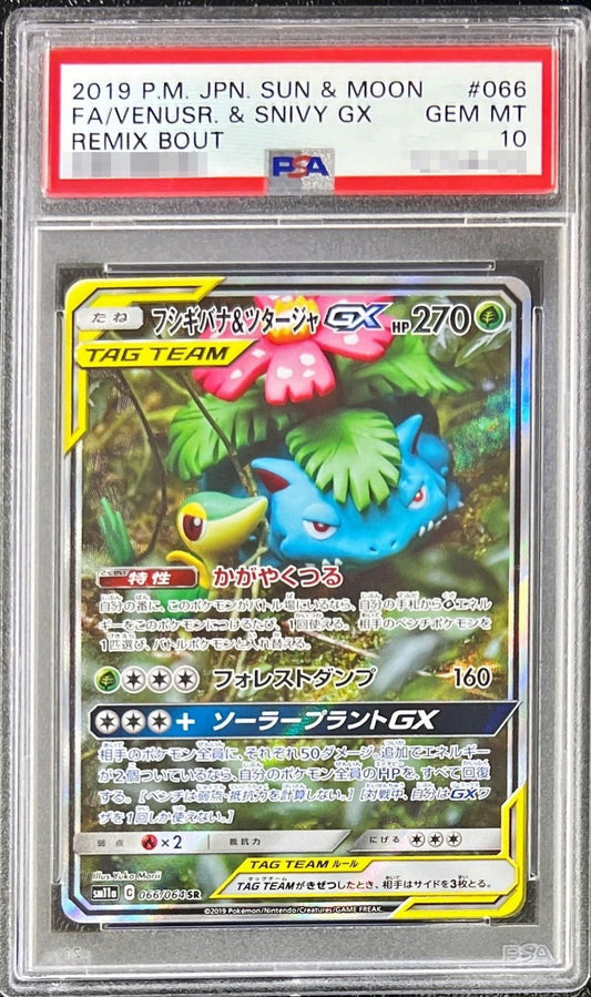〔PSA10鑑定済〕フシギバナ＆ツタージャGX(SA)【SR】{066/064}[PSA](Venusaur)SR