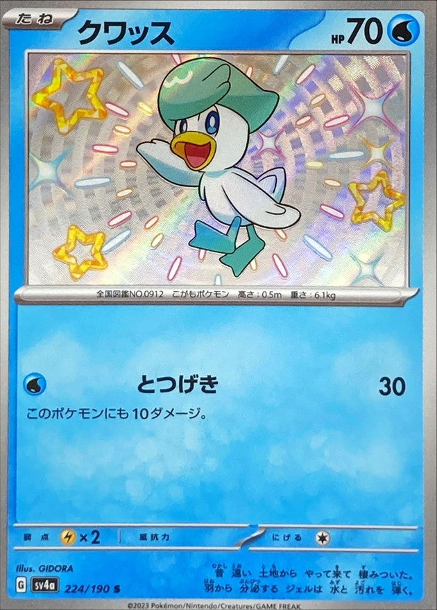 クワッス【S】{224/190}[SV4a](Quaxly)