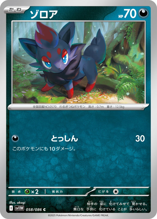 ゾロア【C】{058/086}[SV11W](Zorua)