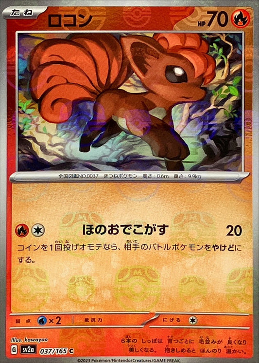 ロコン(マスターボールミラー)【C】{037/165}[SV2a](Vulpix)