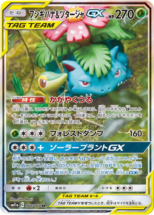 フシギバナ＆ツタージャGX(SA)【SR】{066/064}[sm11a]
