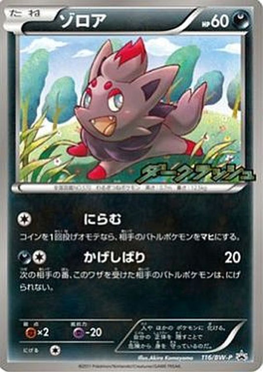 ゾロア【P】{116/BW-P}[その他](Zorua)