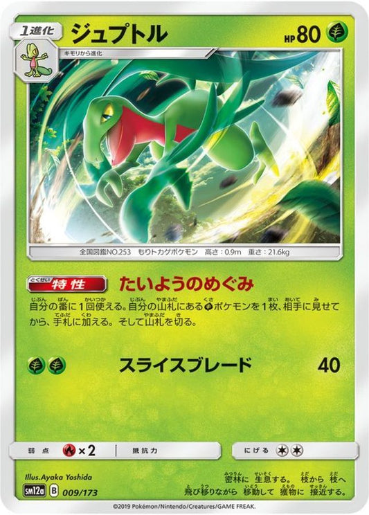 ジュプトル【-】{009/173}[sm12a](Grovyle)