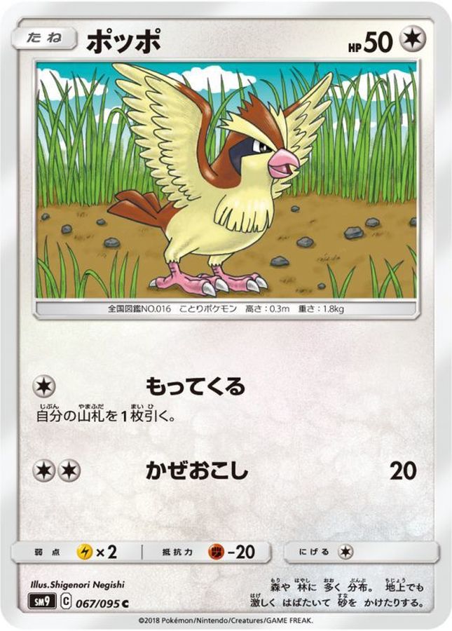 ポッポ【C】{067/095}[sm9](Pidgey)