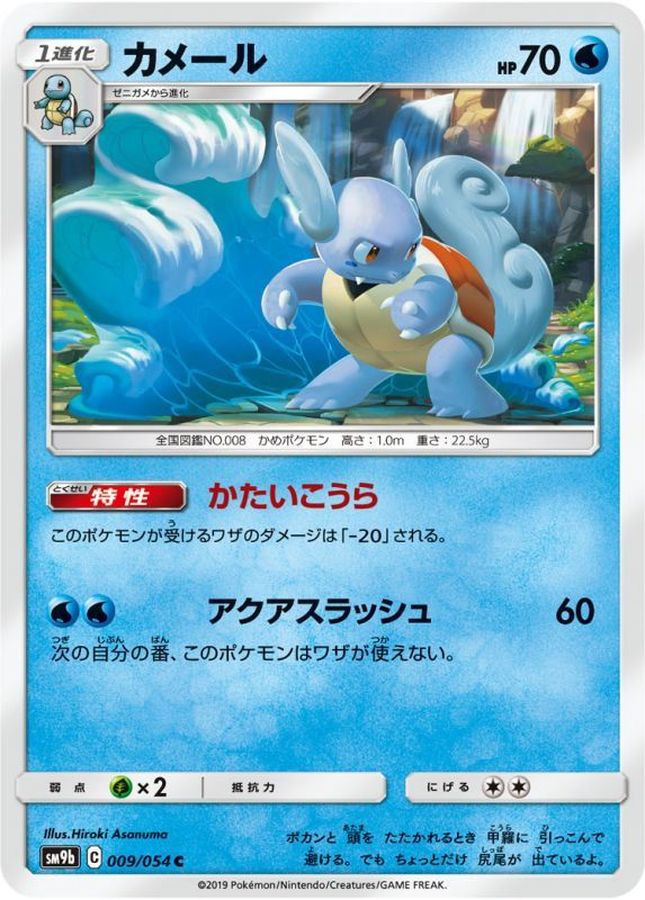カメール【C】{009/054}[SM9b](Wartortle)