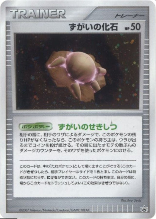ずがいの化石(キラ)【P】{-}[その他]